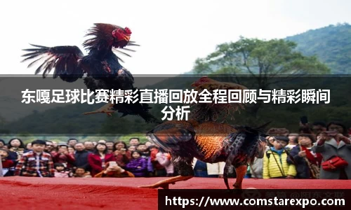 竞技宝手机网页版登录
