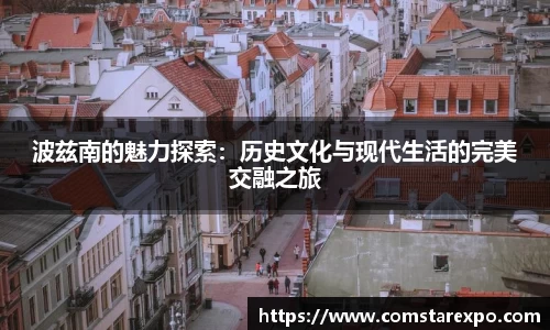 波兹南的魅力探索：历史文化与现代生活的完美交融之旅